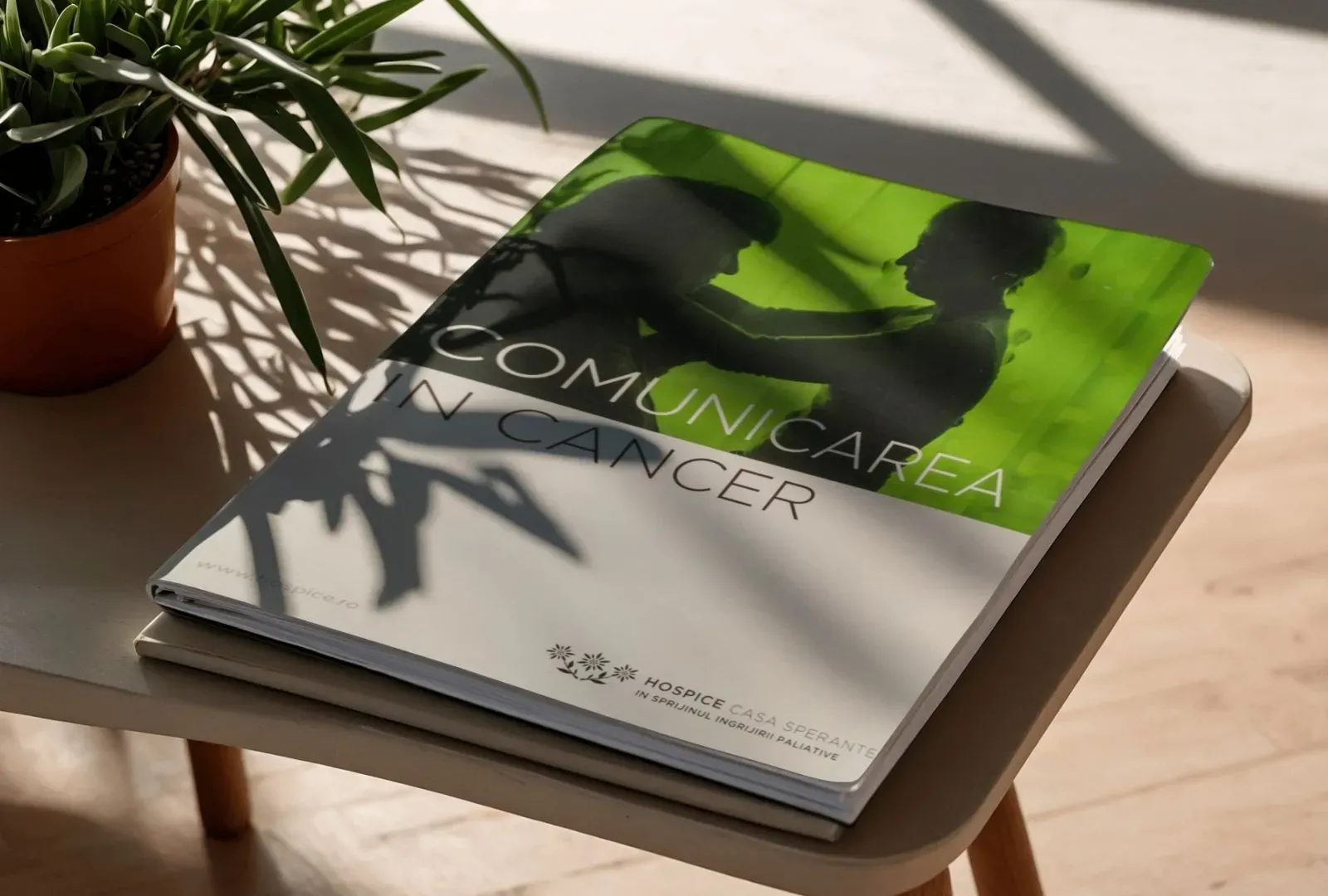 COMUNICAREA IN CANCER.webp