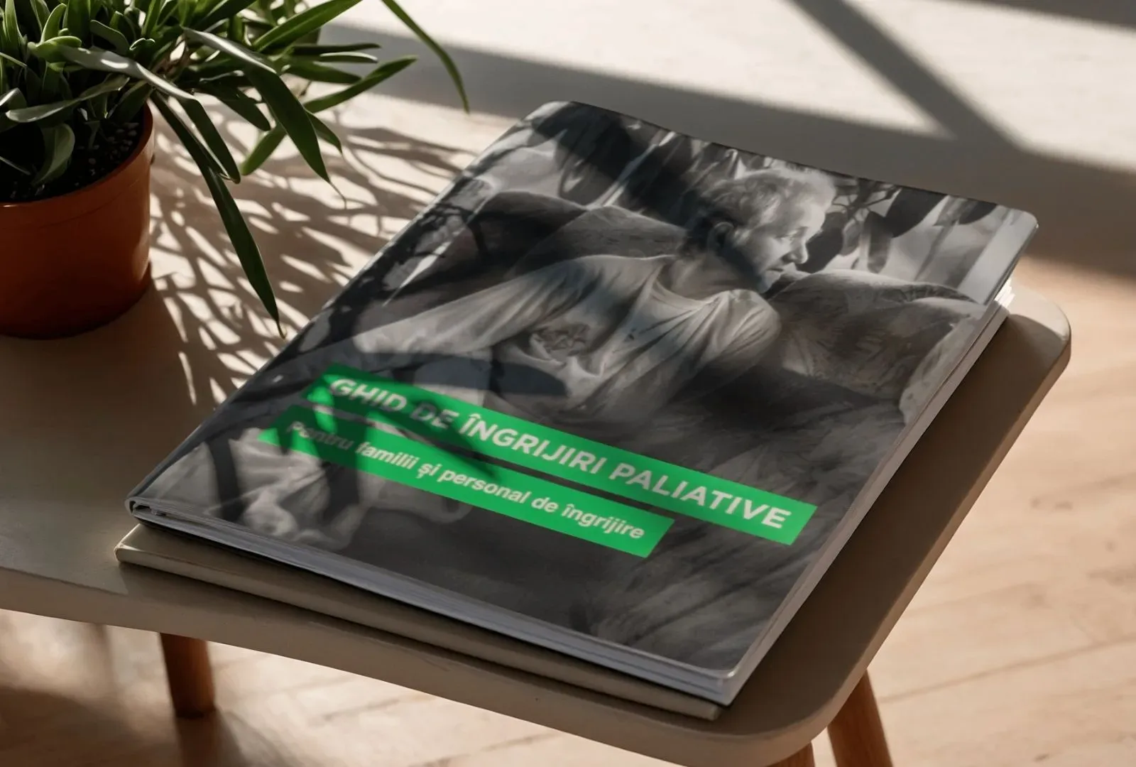 GHID INGRIJIRI FAMILIE.webp