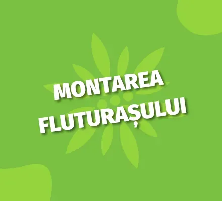 Montarea fluturasului_desktop.webp