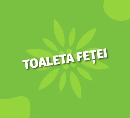 Toaleta fetei_desktop.webp