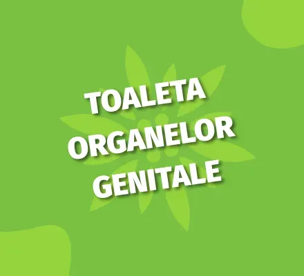 Toaleta organelor genitale_desktop.webp