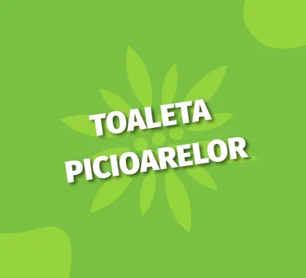 Toaleta picioarelor_desktop.webp