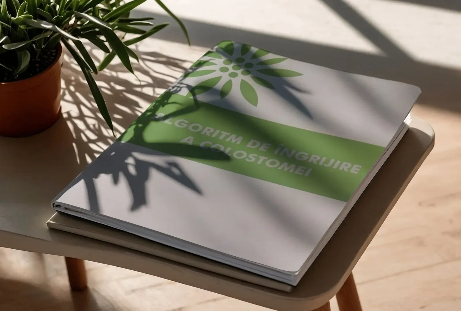 algoritm ingrijire colostoma.webp