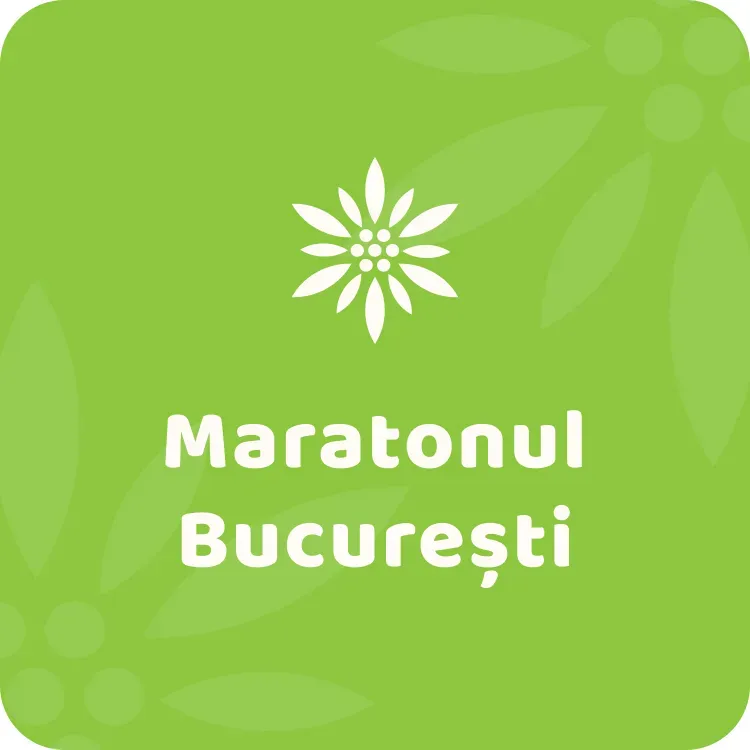 maraton.webp