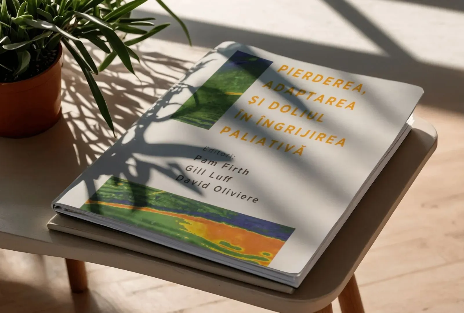 pierderea adaptarea doliul.webp