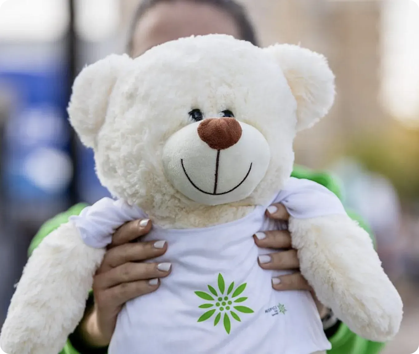 vinde ursuleti 2.webp